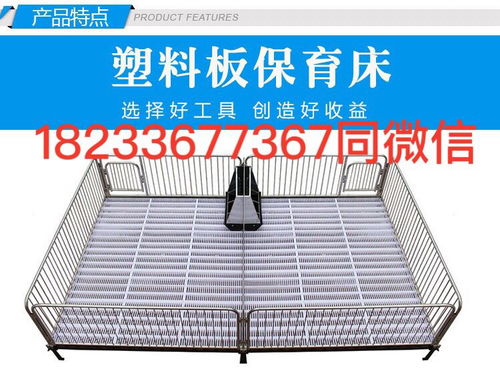 保育床选购指南 厂家直供报价与核心考量因素