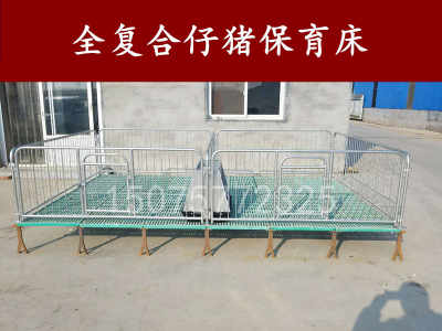 双猪位连体仔猪保育床 现代化养猪场提升保育效率的关键设备