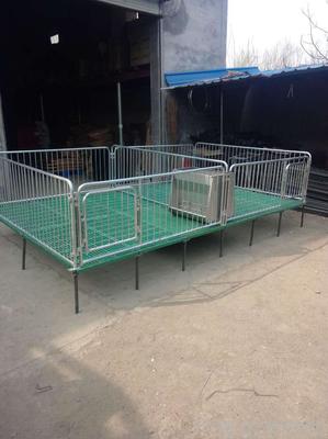 山东猪八戒 复合板双体保育床打造高效养殖新模式