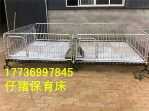 专业成就卓越 利祥保育床，现代化养猪的智慧之选
