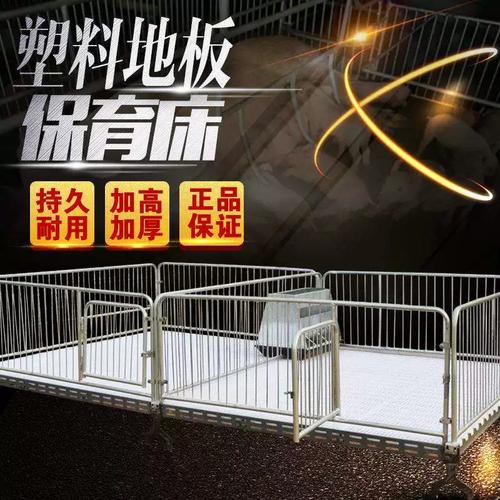 养猪的保育床塑料漏粪板小猪保育床猪仔保育床双体保育床厂家直销