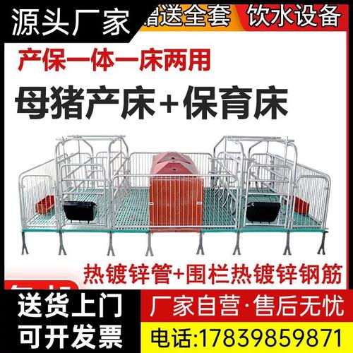 母猪产床保育床产保两用一体x猪用双体分娩床猪产房定位栏养猪厂